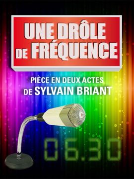 Sylvain Briant - Une drôle de fréquence